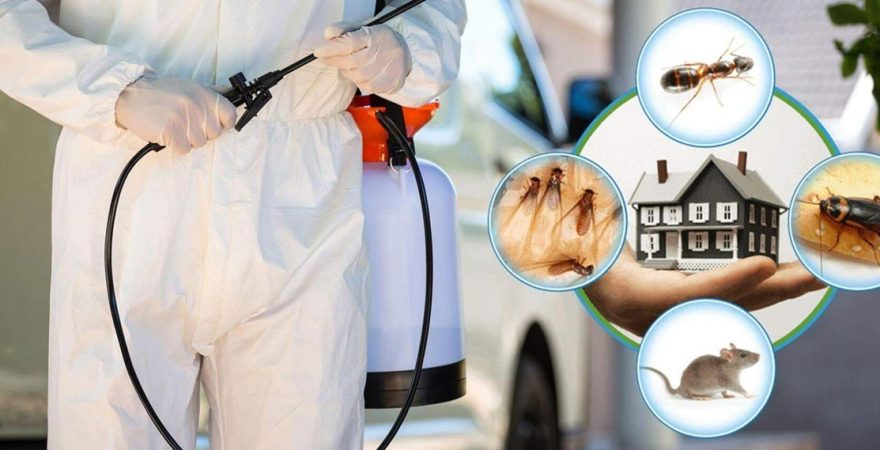 Eskiizmir Böcek İlaçlama