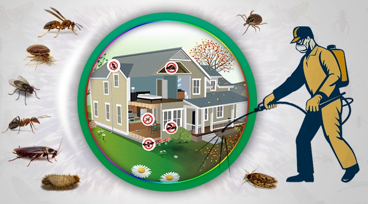 Eskiizmir Böcek İlaçlama