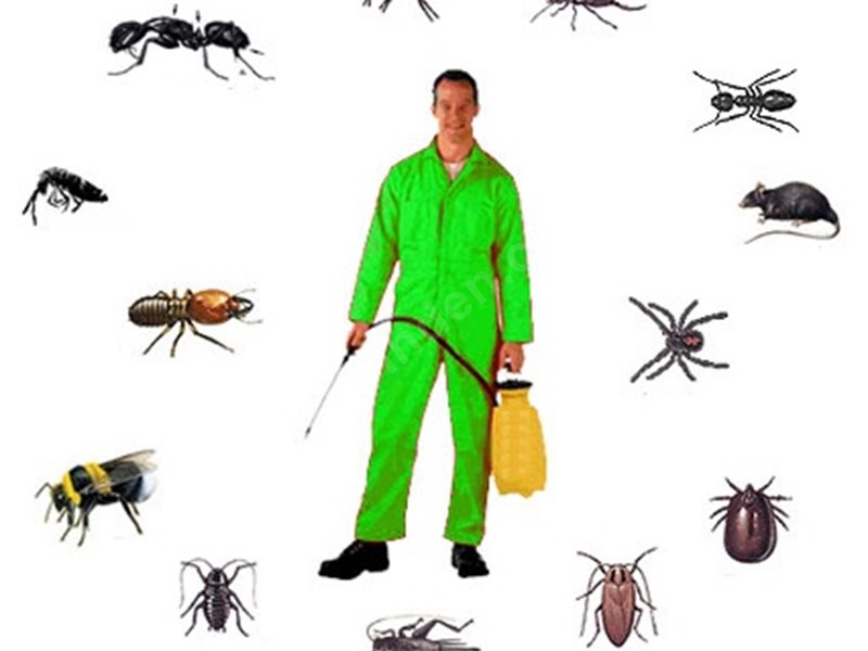 Eskiizmir Böcek İlaçlama